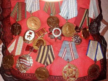Имеет ряд боевых наград, в том числе две медали Адмирала Нахимова, медаль за победу над Германией, Медаль за оборону Кавказа, Орден Отечественной Войны и др.