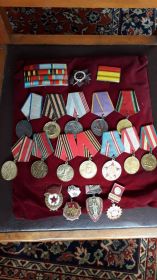 Орден Отечественной войны второй степени, медали “За отвагу”, “За боевые заслуги”, юбилейные медали