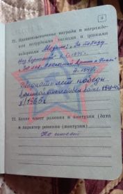 Медаль " за победу над Германией " 1945г. , двадцать лет победы над Германией 1965г