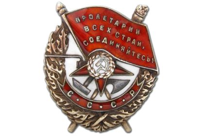 Орден Отечественной войны II степени; Орден Боевого Красного Знамени