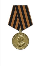 Медаль «За победу над Германией в Великой Отечественной Войне 1941-1945 гг»