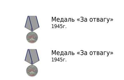 Медали за отвагу