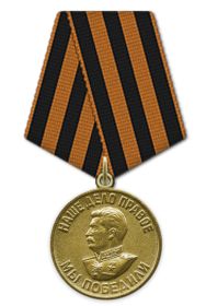 Медаль: « За победу над Германией в Великую Отечественную Войну 1941-1945гг.»
