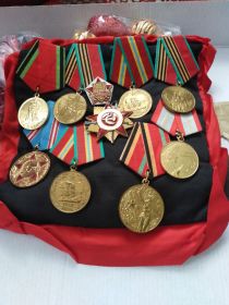 Орден отечественной войны 1 степени , медали за отвагу
