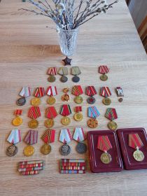 (2) Медаль «За победу над Японией»; (3) Медаль «За боевые заслуги»; Орден Красной Звезды