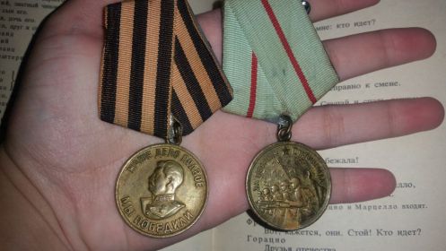 Медаль «За оборону Сталинграда», «За победу над Германией в Великой Отечественнной войне 1941-1945 гг