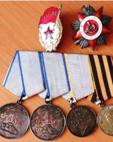 2 медали «За Отвагу», «За боевые заслуги», «За взятие Берлина», «За Победу над Германией в Великой Отечественной войне», «За освобождение Праги»