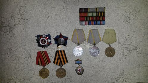 Орден Красной звезды, орден Отечественной войны 2 ст, 2 медали за боевые заслуги, медаль за взятие Берлина