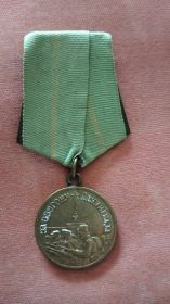 Медаль За Оборону Леринграда