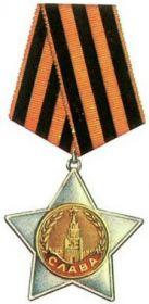Орден Славы 2-й степени