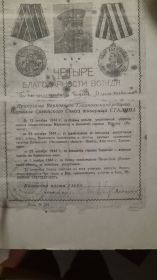 "Четыре благодарности Вождя", медаль "за освобождение Советского Заполярья", Орден Отечественной войны 2- степени