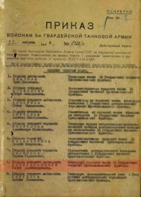 Орден Красного Знамени, 2 ордена Красной Звезды, орден Отечественной Войны I степени, медаль за Победу над Германией