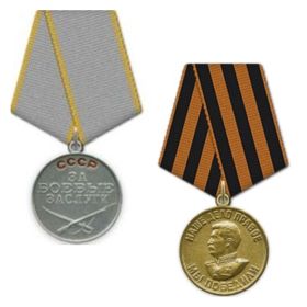 Медаль «За боевые заслуги»; Медаль «За победу над Германией в Великой Отечественной войне 1941–1945 гг.»