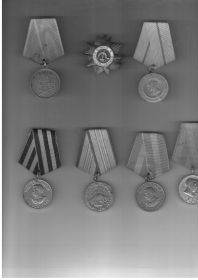 Медаль "За боевые заслуги", медаль за Победу над Германией, за Оборону Севастополя, за оборону Кавказа, орден Отечественной Войны, а
