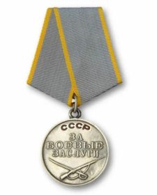 Медаль За боевые заслуги.