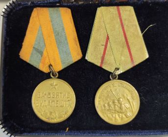 Медаль за взятие Будапешта и оборону Сталинграда