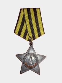 Орден «Слава 3-ей степени»