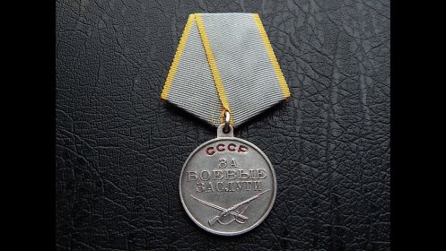 медаль за боевые Заслуги