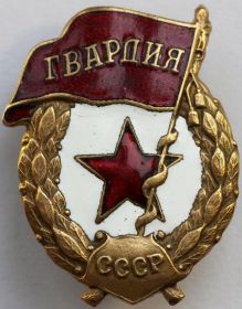 Нагрудный знак «Гвардия»