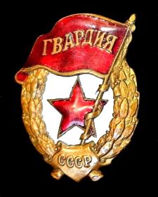 Нагрудный знак "Гвардия"