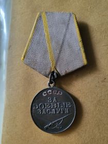Медаль за Боевые заслуги