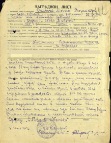 медаль «За оборону Кавказа» (1945 г.), орден Славы 3-й степени (06.11.1947 г.), орден Отечественной войны 2-й степени (06.04.1985 г.)