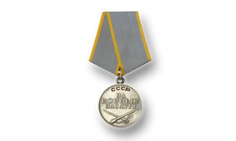 Медаль «За боевые заслуги» Дата подвига: 09.12.1943