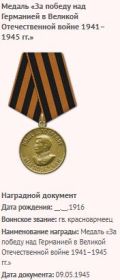 Медаль «За победу над Германией в Великой Отечественной войне 1941–1945 гг.»
