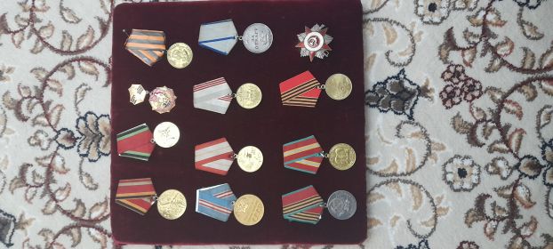 "За отвагу",Ветеран труда,За победу над Германией ВОВ,За храбрость и стойкость и мужество проявленные в борьбе с немецко-фашистскими захватчиками ,За доблесть и отвагу в ВОВ