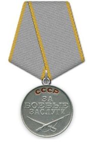 медаль За боевые заслуги