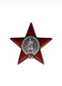 Медаль "За отвагу" (2); Орден Красной Звезды (2)