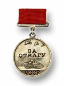 Медаль «За Отвагу».