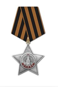 Орден Славы III степени