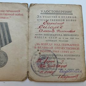 Медаль за Победу над Германией в Великой Отечественной Войне 1941-1945гг