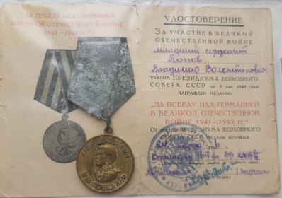 Медаль за Победу над Германией в ВОВ 1941-1945 г.г.