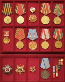 1) медаль «За Победу над Германией в Великой Отечественной войне» 1941-1945 гг.», выдана 6.02.1946 г.;    2) медаль «20 лет Победы в Великой Отечественной войне 1941-1945 гг.», выдана 8.05.1