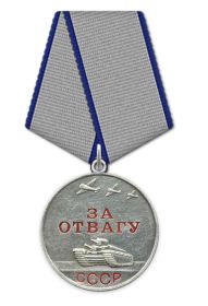 Медаль «За отвагу» (2); Медаль «За победу над Германией в Великой Отечественной войне 1941–1945 гг.»; Медаль «За освобождение Праги»