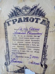 «За взятие Будапешта», «За взятие Вены», «За победу над Германией в Великой Отечественной Войне 1941-1945гг.», "Двадцать лет Победы в Великой Отечественной Войне 1941-1945гг.»
