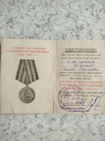 Медаль "За победу над Германией"