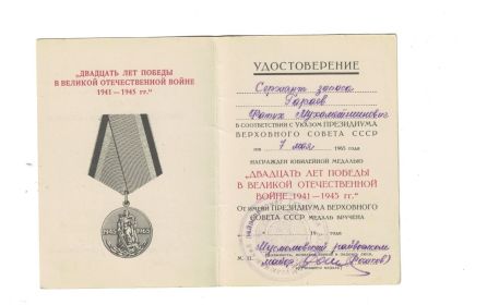 Юбилейная медаль «Двадцать лет Победы в Великой Отечественной войне 1941—1945 гг.»