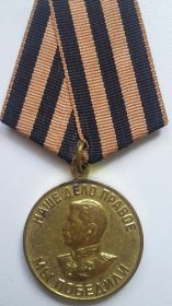 Медаль «За победу над Германией в Великой Отечественной войне 1941–1945 гг.»