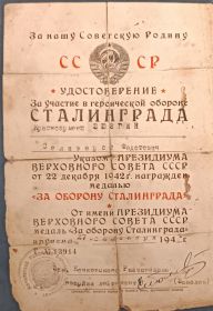 За оборону Сталинграда. За победу над Германией.