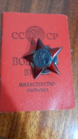 Орден "Красная звезда" в 1943 г., Медаль "За боевые заслуги" в 1944 г., Медаль "За победу над Германией" в 1946 г.