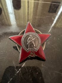 Орден за мужество