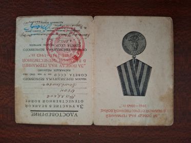 Медаль за победу над Германией