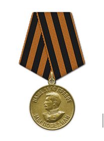 Медаль «За победу над Германией в Великой Отечественной войне 1941–1945 гг.»