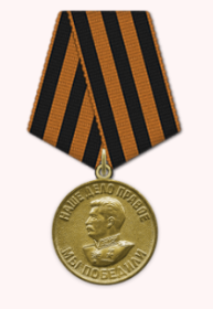 Медаль «За победу над Германией в Великой Отечественной войне 1941–1945 гг.»