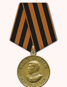 Медаль «За победу над Германией в Великой Отечественной войне 1941–1945 гг.»