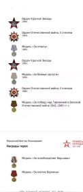 Орден Красной звезды, Орден Отечественной Войны IIстепени, Медаль за отвагу, Орден Красной звезды, Медаль за боевые заслуги, орден Отечественной Войны IIстепени, медаль за победу над Германие