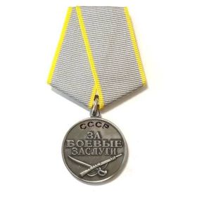 Медаль "За боевые заслуги", Орден "Отечественная война" 2 степени, Медаль "Калининский партизан"